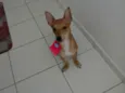Lunna
