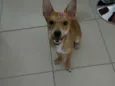 Lunna