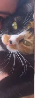 Kita