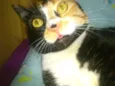 Kita