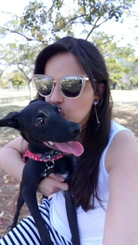Cachorro ra a SRD idade 1 ano nome Lilly GRATIFICA