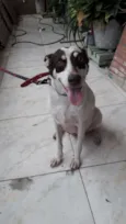 Nina