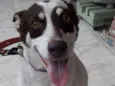 Nina