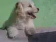 Lupita