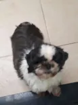 REX
