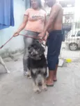 Bob