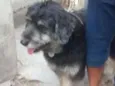 Bob