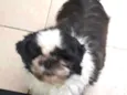 REX