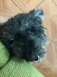 Billy