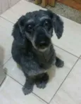 Billy