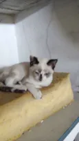ritinha