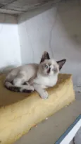 ritinha