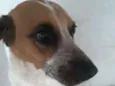 Menino