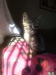Fran