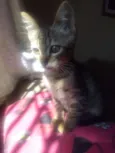 Fran