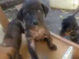 Não colocamos nomes