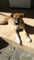 Lua