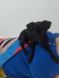 Joaquim e Jose