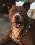 Marley