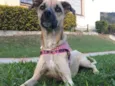 Mixirica