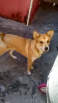 Skye