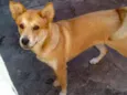 Skye