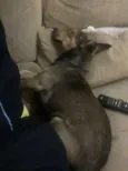 Nao tem