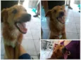 Magali