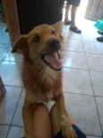 Magali
