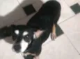 Lua
