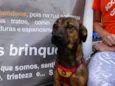 Torresmo
