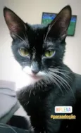 Mel