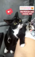 Mel