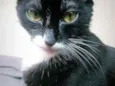 Mel