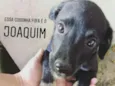 Joaquim