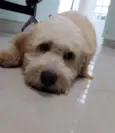 Bob