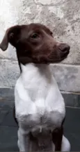 Marley