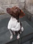 Marley