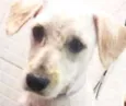 Charles