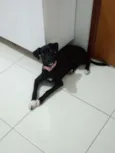 Kira