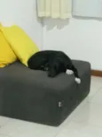 Kira