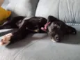 Kira