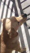 Marley