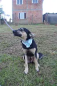 Júlio