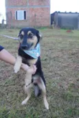 Júlio