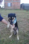 Júlio