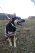 Júlio