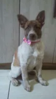 Bella