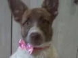 Bella