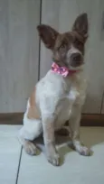 Bella